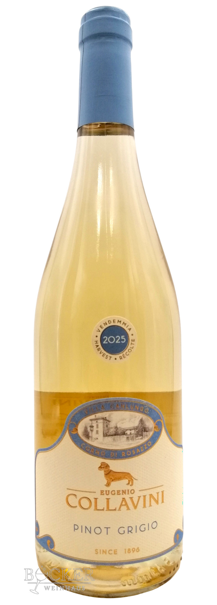 Collavini - Villa Canlungo Pinot Grigio