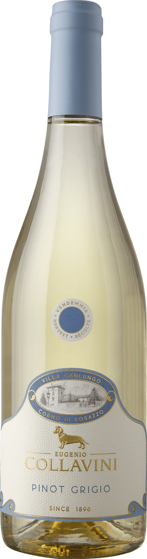 Villa Canlungo Pinot Grigio Friuli Venezia Giulia DOC