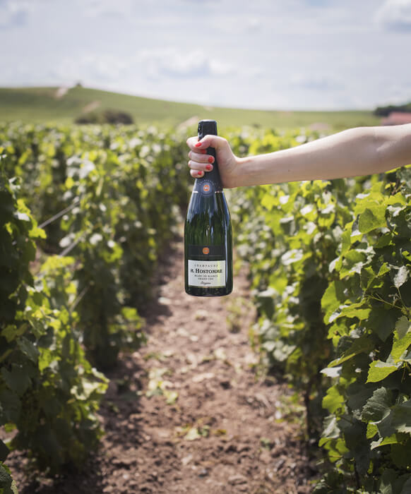 Champagner Tasting @Heinrich & Helene Vechta 22.01.26