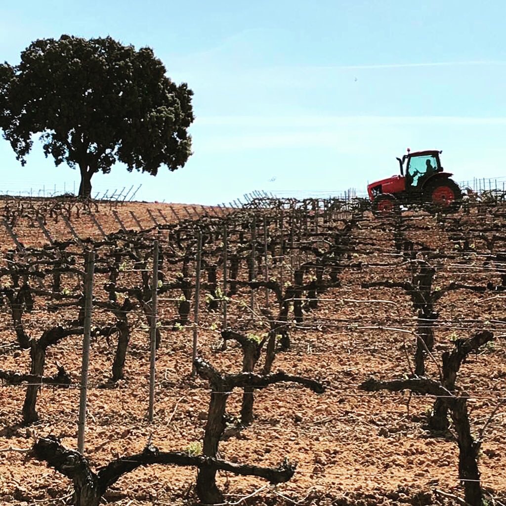 Weinprobe Mediterran im Weinhaus Bücker Sa. 24.01.26