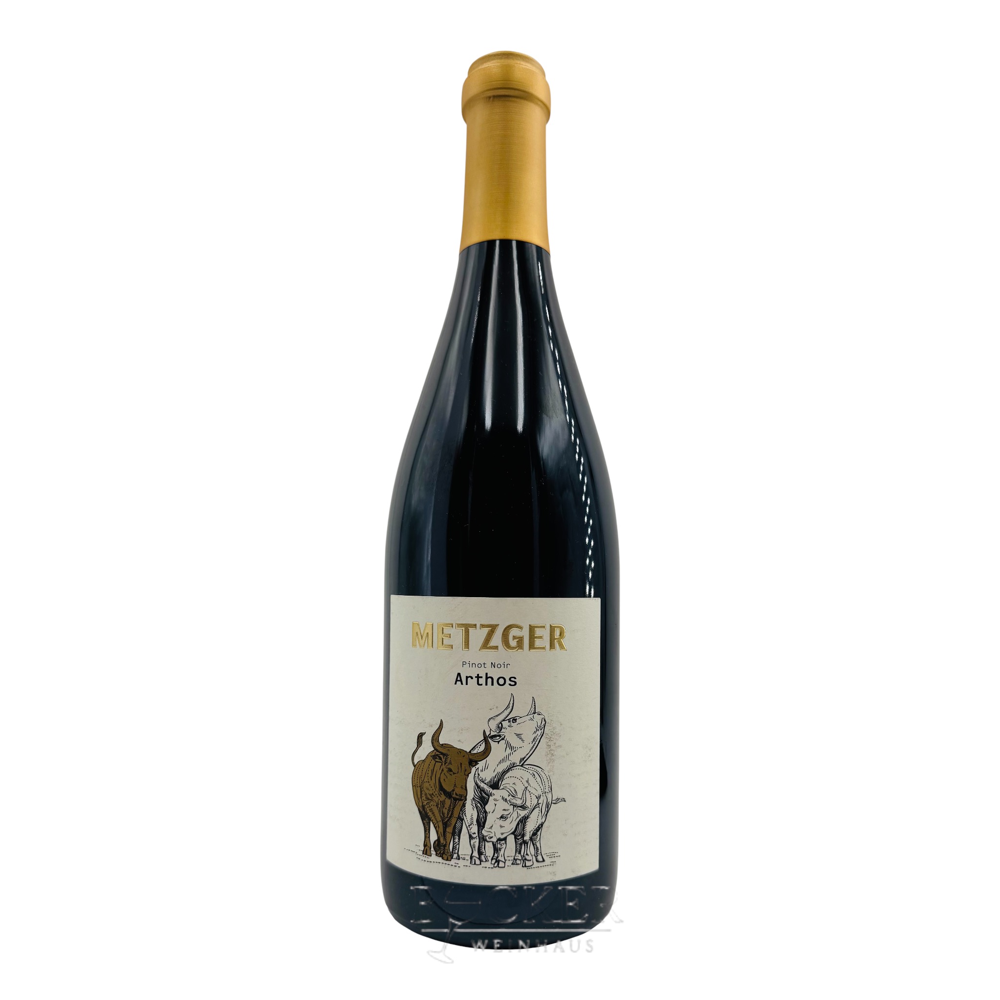 Metzger Pinot Noir Arthos  Pfalz 0,750 l